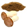 Productos Artesanos de POLVO DE BOLETUS 100% Vegetal