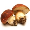 Productos Artesanos de BOLETUS 100% Vegetal